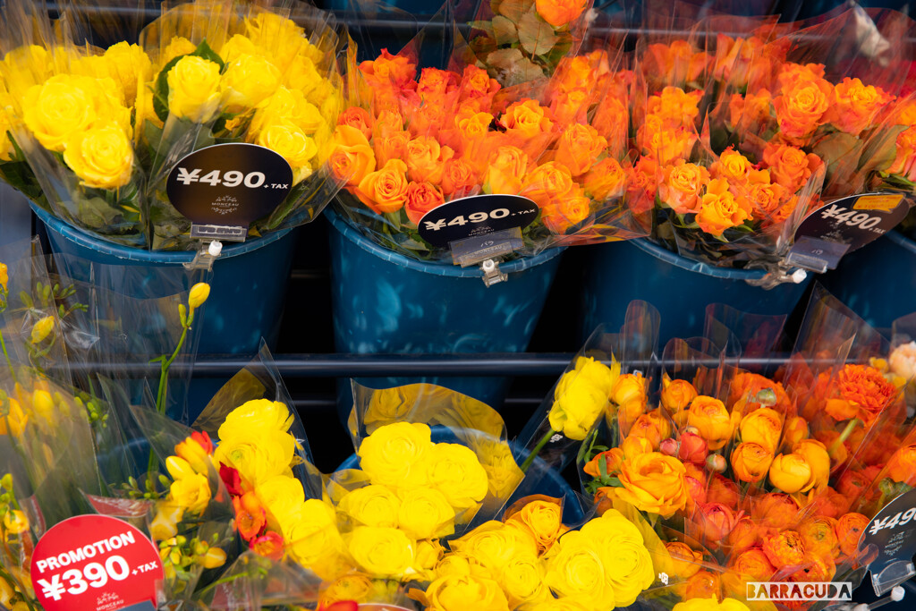 山手・元町・中華街の散策⑧