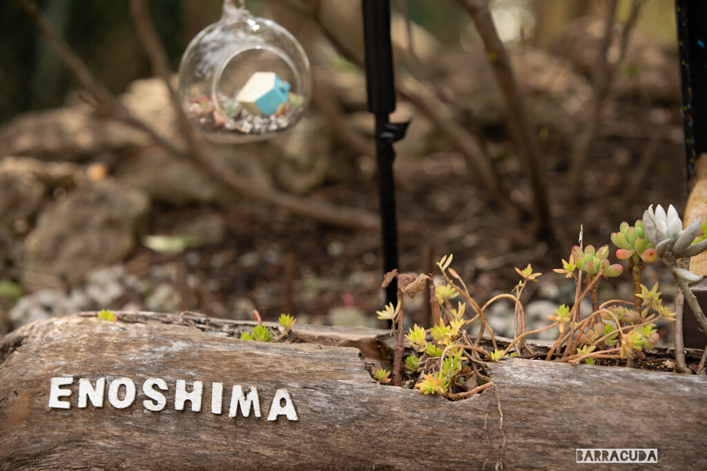 江の島スモールワールド！⑤