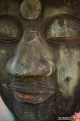 横顔シリーズ①