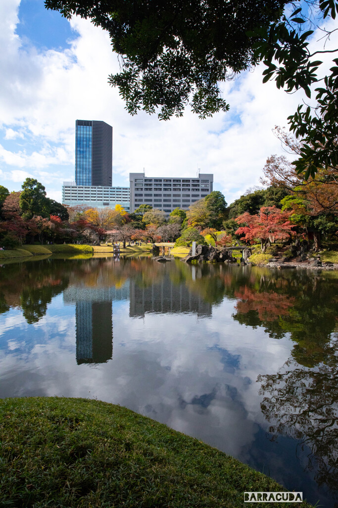 後楽園の紅葉①