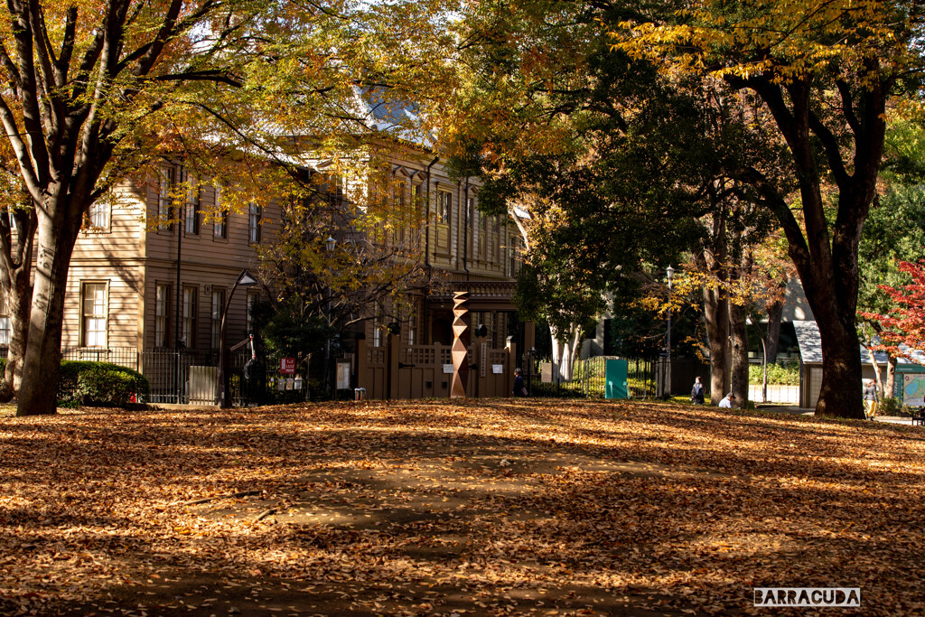 上野公園散策（第一弾）⑩