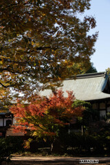 上野公園散策（第一弾）②