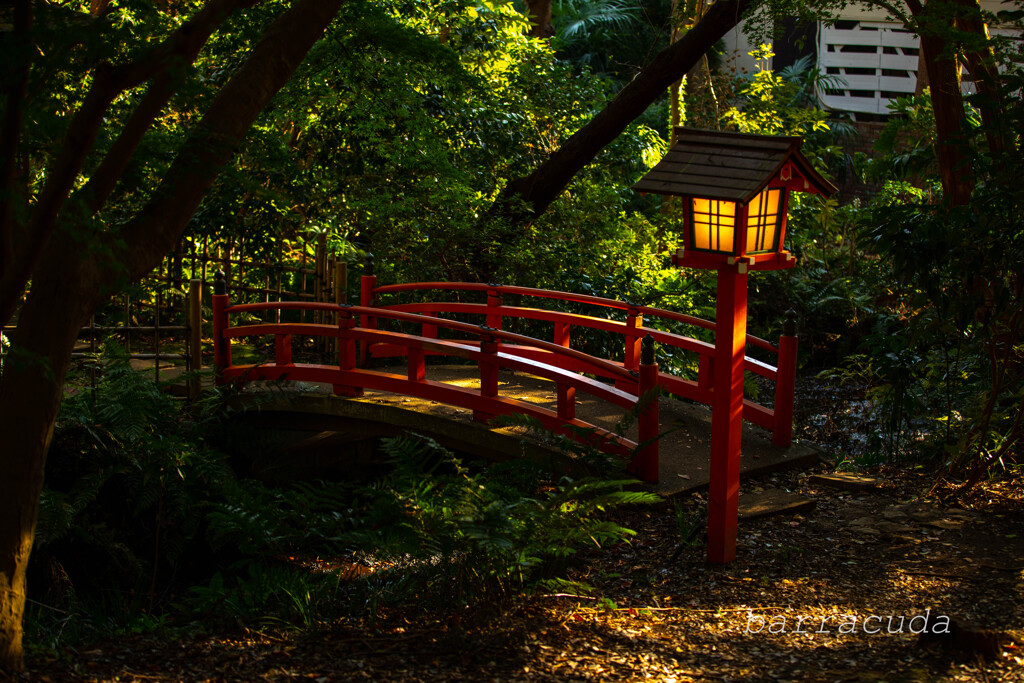 深沢・等々力界隈⑦