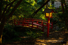 深沢・等々力界隈⑦