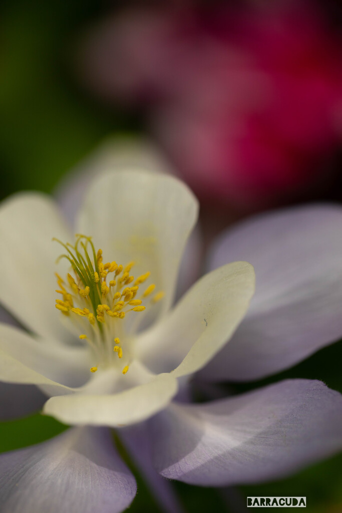 日比谷公園へ⑤