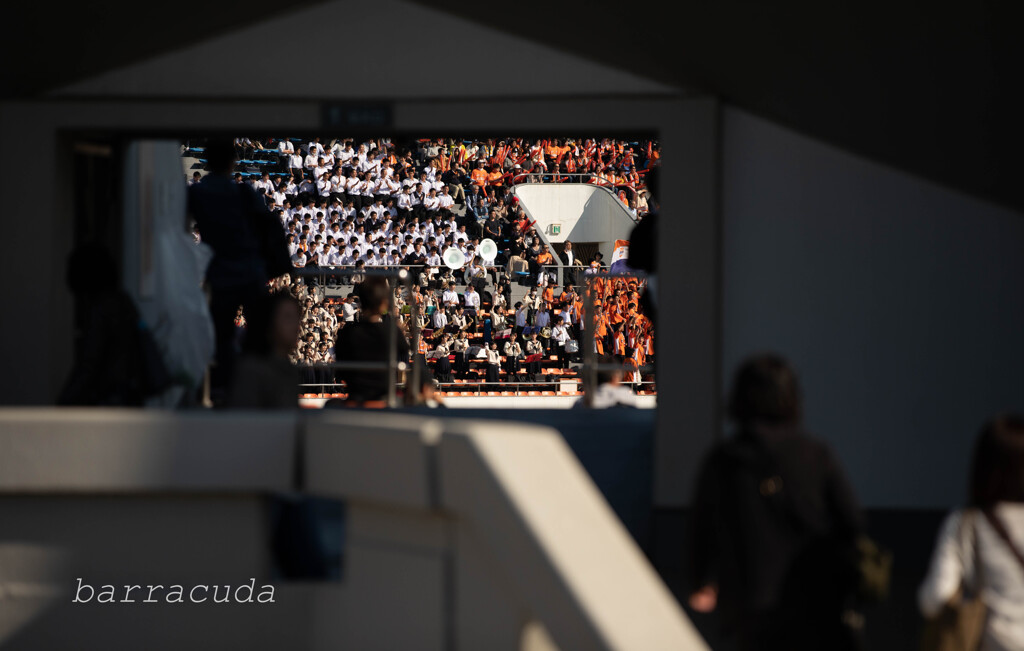 駒沢公園散策【後半】⑤