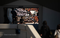 駒沢公園散策【後半】⑤