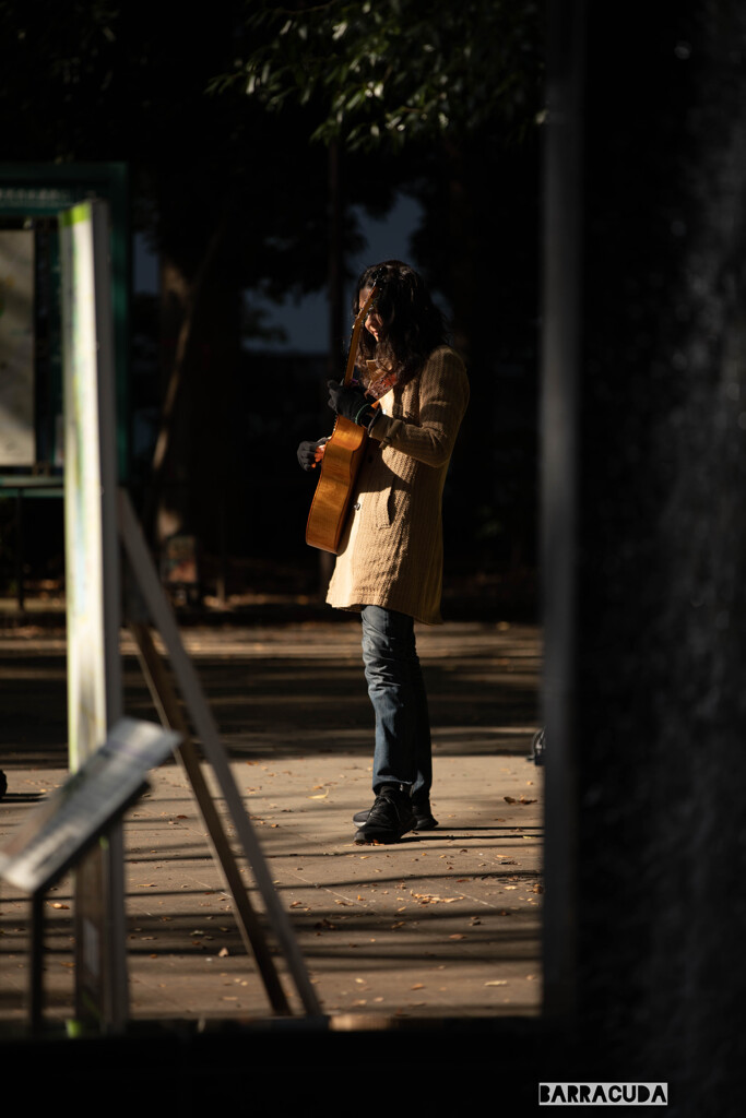さすらいのギタリスト