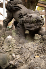 言問橋と牛島神社⑥