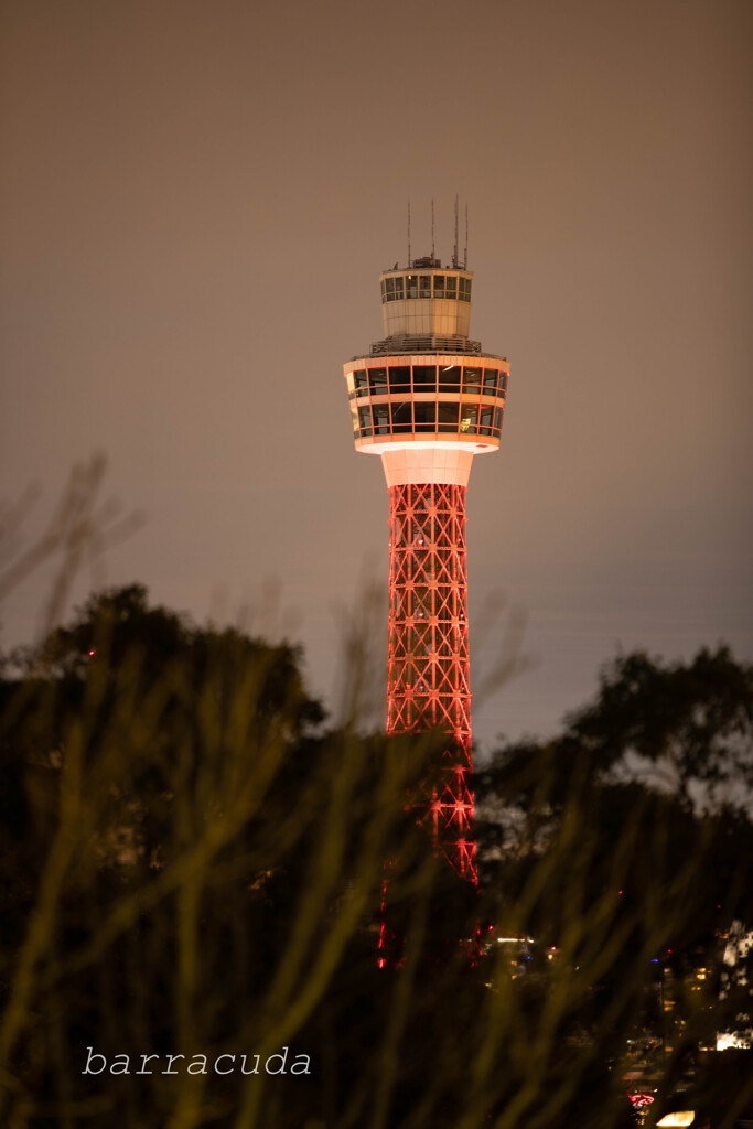 港が見える丘公園で港を見ました⑧
