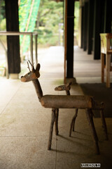七沢森林公園⑨