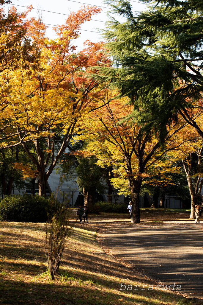 駒沢公園散策【後半】③