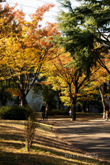駒沢公園散策【後半】③