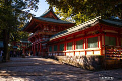 大宮氷川神社⑤