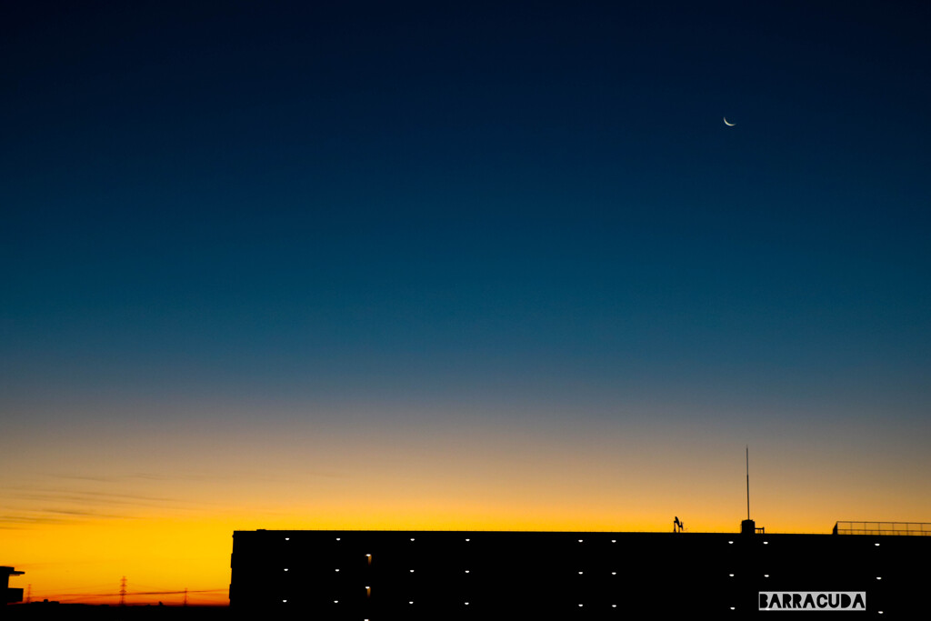 ドーーーーン！