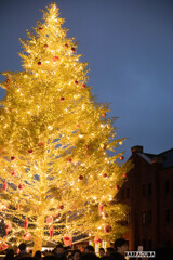 夜景シリーズ③