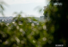 しんばやし公園②　烏帽子岩