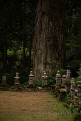 伊勢・熊野・高野山　旅行シリーズ