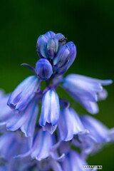 近くの公園にて②