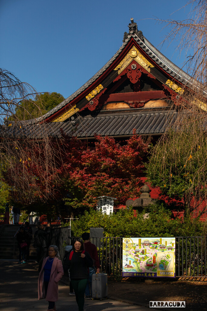 上野公園散策（第一弾）③