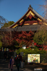 上野公園散策（第一弾）③