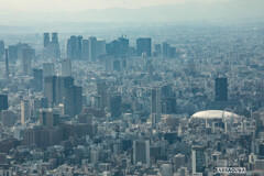 初めてのスカイツリー⑤