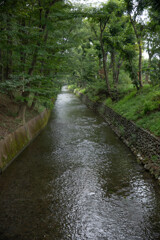 玉川上水緑道シリーズ4