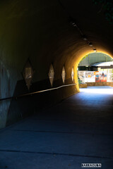 金沢区称名寺①