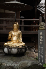 目黒・大円寺⑦