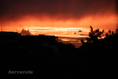 港が見える丘公園で港を見ました③