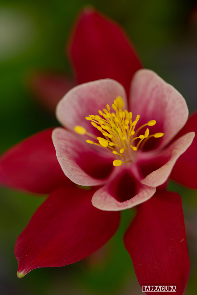 日比谷公園へ⑥