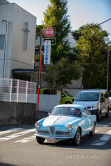 深沢・等々力界隈④