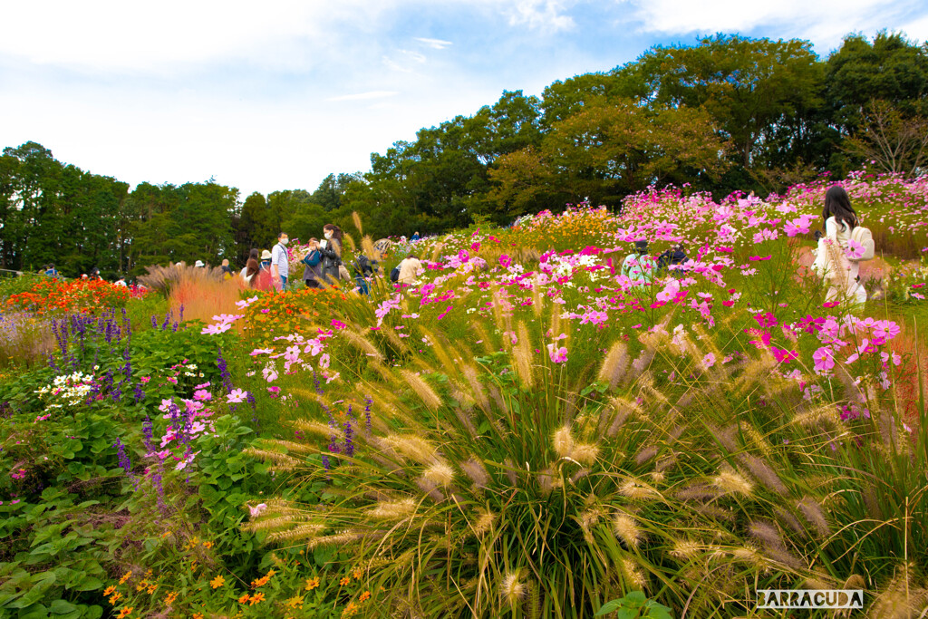 The 里山ガーデン