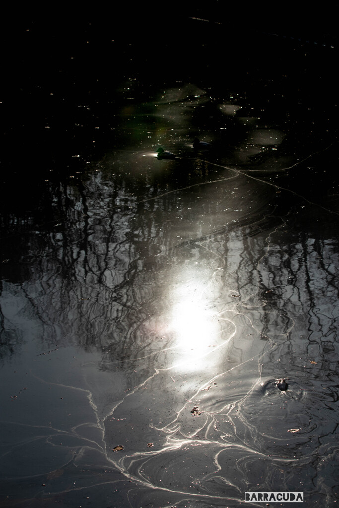 『導き(guidance)』