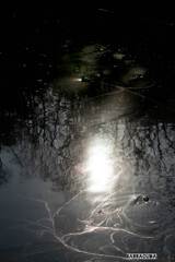 『導き(guidance)』