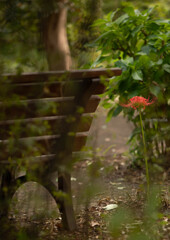 トリミングの妙⑤