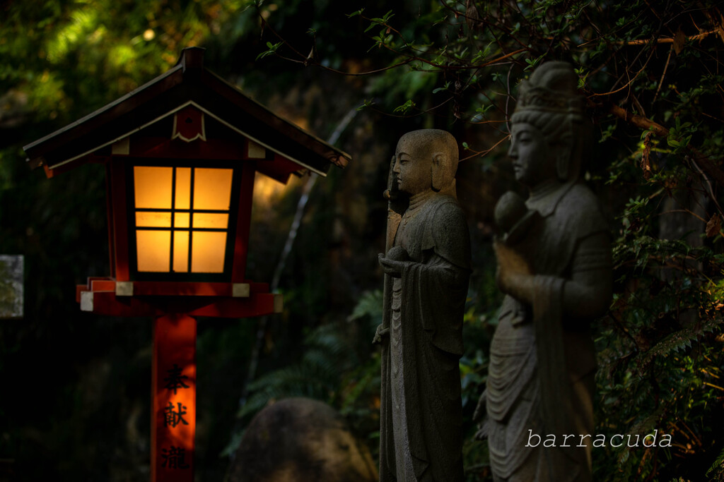 等々力渓谷へ⑥