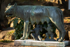 日比谷公園散策　ル－パロマ－ナ？