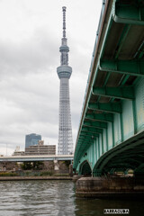 言問橋と牛島神社⑧