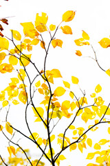 遊んでみました！( ﾟДﾟ)①