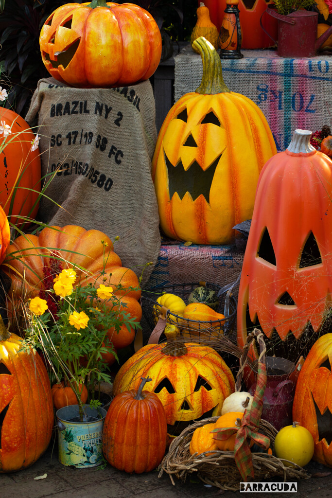 イングリッシュガーデンおまけ②