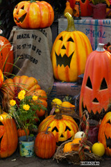 イングリッシュガーデンおまけ②