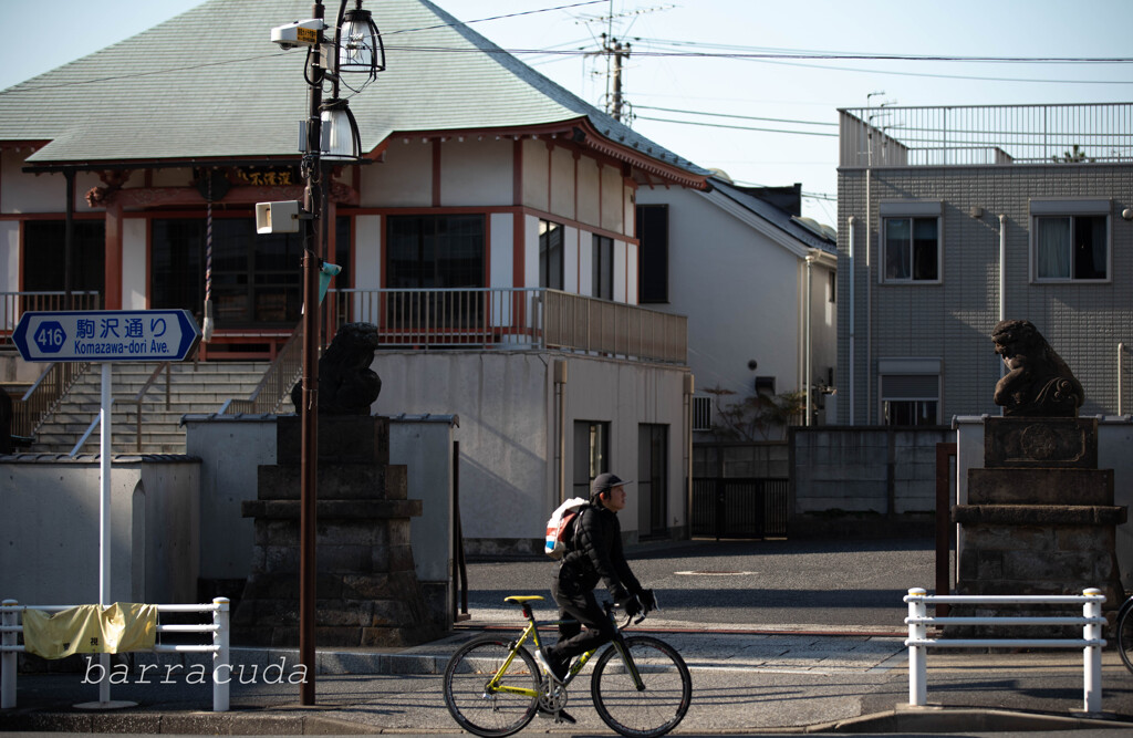 深沢・等々力界隈①