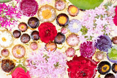 フラワーアレンジメントいろいろ