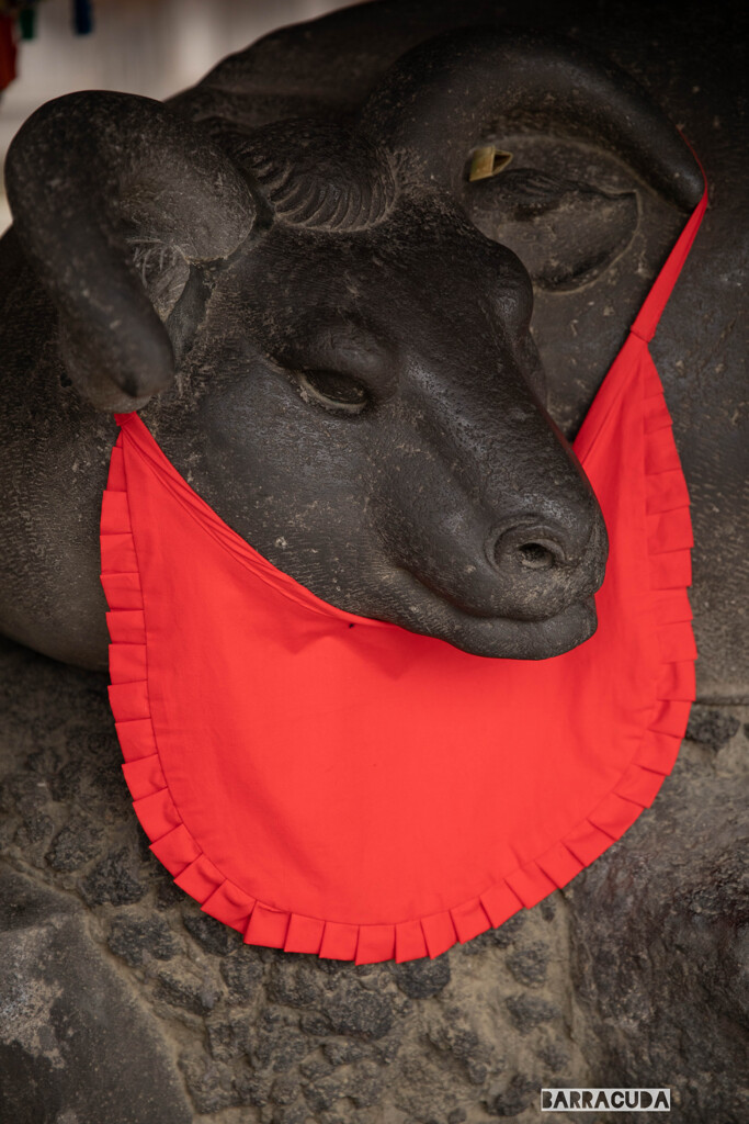 言問橋と牛島神社③