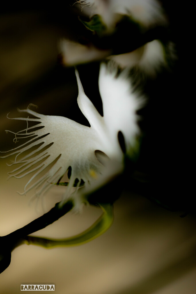 長久保公園にて⑦