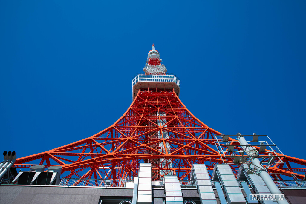 東京タワーシリーズ②