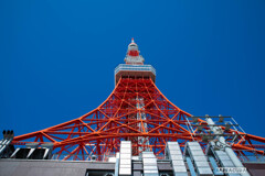 東京タワーシリーズ②