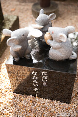 万九千神社のねずみたち②