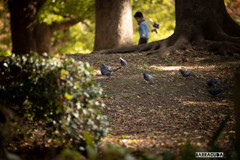 上野公園散策（第一弾）②
